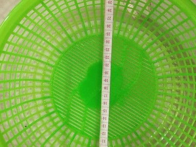 塑料盆厂家直销2元店赠品盆礼品盆地摊庙会活动用盆图3