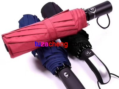 10582619293.jpg.middle