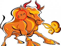 2021新征程、新希望、牛气冲天!